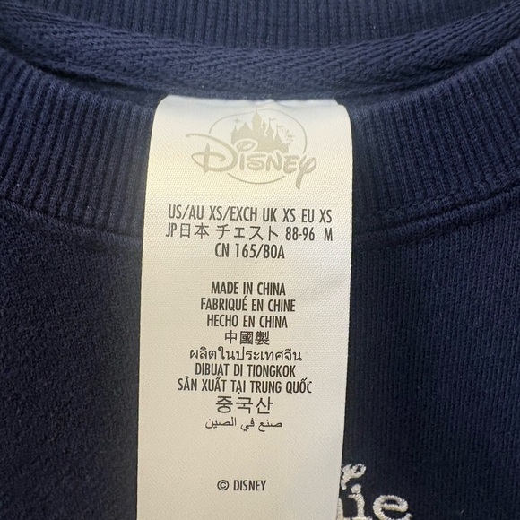 Disney Parks 2025 Winnie the Pooh Characters Navy unisex Crewneck Sweatshirt - Picture 3 of 4